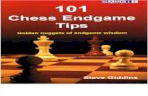 101 engame