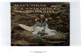 Macumbas e camdomblés na Umbanda - W. W. da Matta e Silva
