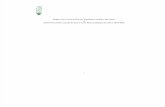 2013.06: Rapport Politique Sanitaire 2013-2017