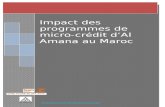 Rapport Impact Microcredit Alamana