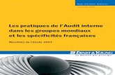 1007 Pratiques Audit Interne
