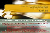 Les Normes IAS IFRS Immobilisa