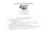 Antigenes L2  2011-12