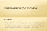 Fibroadenoma Mamae1