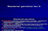 Bact Genetics Lec5