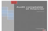 Audit et révision des comptes