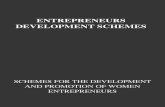 entrepreneur scheme