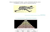 Formation botanique 2012 - pples familles.pdf