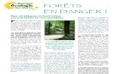 Forêts en danger