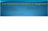 Les Infections Urinaires Et Diagnostic