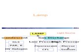 02 Lamp+Luminaire