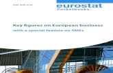 Chiffres clés Bussiness en UE 2011