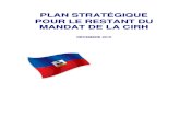 CIRH Plan Strategique Francais 2010.12.14
