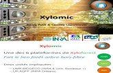 Xyloforest : Plateau technique Xylomic