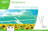 Chiffres clés de l'énergie 2010 France