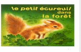 Langue Française Lecture Le petit écureuil dans la forêt