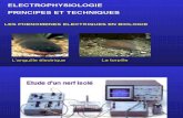 Presentation Electrophysiologie