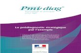Pmi diag - Le prédiagnostic stratégique par l’exemple