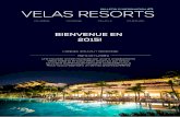 Newsletter #3 | Velas Resorts | FR
