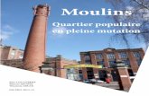 Lille-Moulins, Quartier populaire en pleine mutation