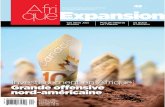 Afrique Expansion Magazine - Démo 49