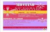 2015 - MICCIANO, Sagra del Ciambellino, 25 Luglio