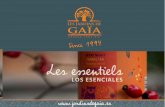 Botes de té gourmet - 2 - Gama completa Los esenciales 2015