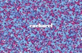 | Catalog Cacharel