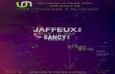 Rapport stage Sancy Productions par Pierre Jaffeux