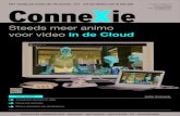 ConneXie Belgie 01