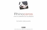 Formation découverte Rhinoceros