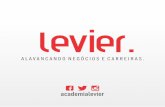 Portfolio Levier 2015/2016