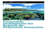 Ensemble, protégeons les océans de Polynésie française