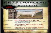 RRTS Charolais Bull Sale
