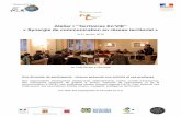 "Synergie de communication en réseau territorial" Atelier I projet Territoires en'VIE