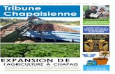 Tribune Chapaisienne - mai juin 2016