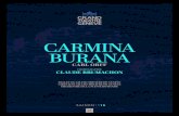 1516 -  Programme ballet - Carmina Burana - 05/16