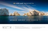 Newsletter #5 | Año 2 | Velas Resorts | FR
