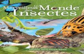 Le Merveilleux Monde des Insectes