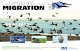 Cahiers migration 2013