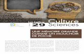 Lettre Culture Sciences N°29