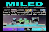 Miled Sinaloa 09 07 16