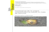 Croissance de la coque (Cerastoderma edule) en baie de Somme ...