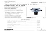 Transmetteurs de niveau   ultrasons Rosemount s©rie 3100
