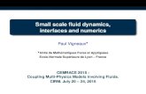 Small scale fluid dynamics, interfaces and numerics