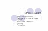 Stress oxydant