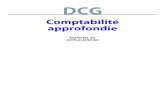 DCG Comptabilité approfondie