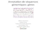 Annotation de séquences génomiques: gènes - South Green