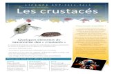 Quelques éléments de taxonomie des « crustacés »