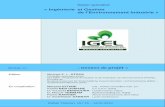 « Ingénierie et Gestion de l'Environnement Industrie »